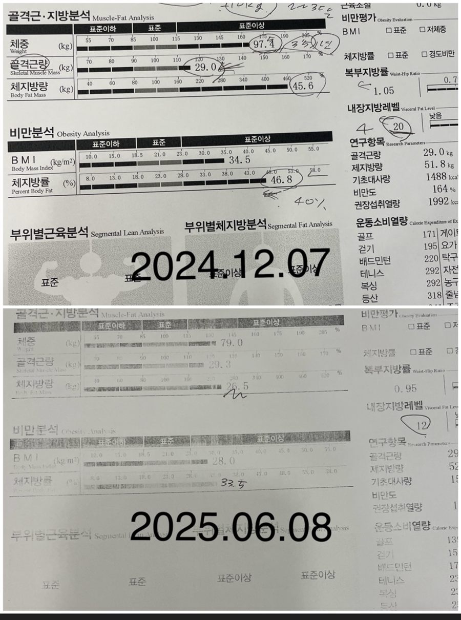 다이어트 인바디 체성분 비교
